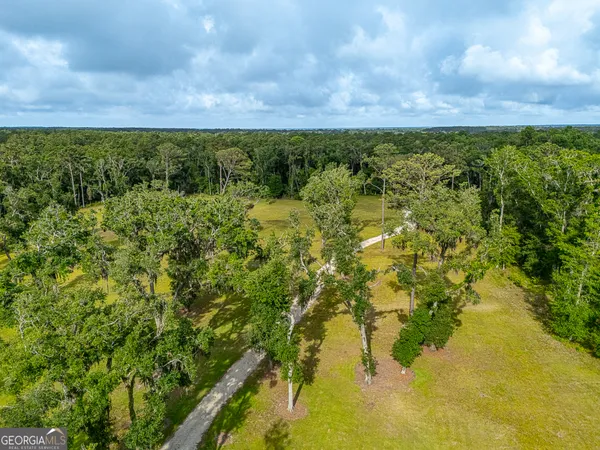 a view of outdoor and green space