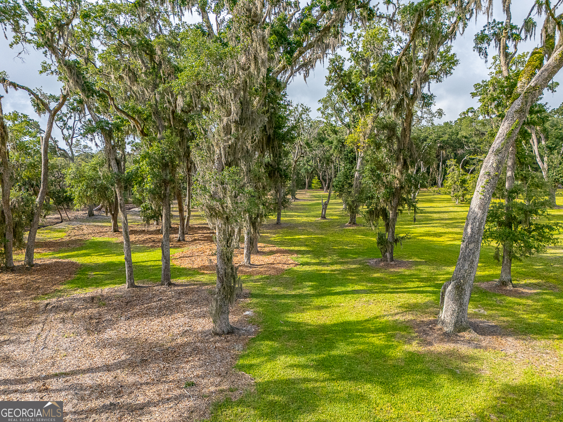 24 Carriage Drive St. Simons Island, GA 31522 - Photo 35 of 67 a view of yard with swimming pool