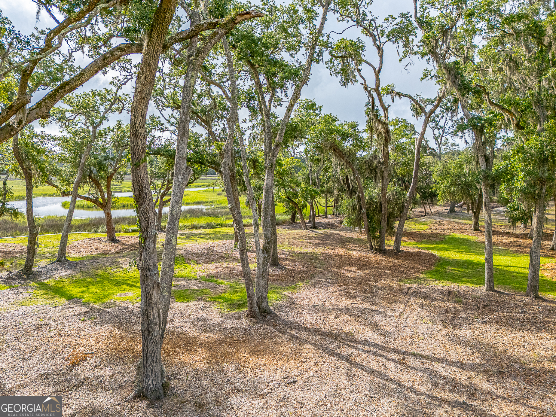 24 Carriage Drive St. Simons Island, GA 31522 - Photo 36 of 67 a view of yard with tree