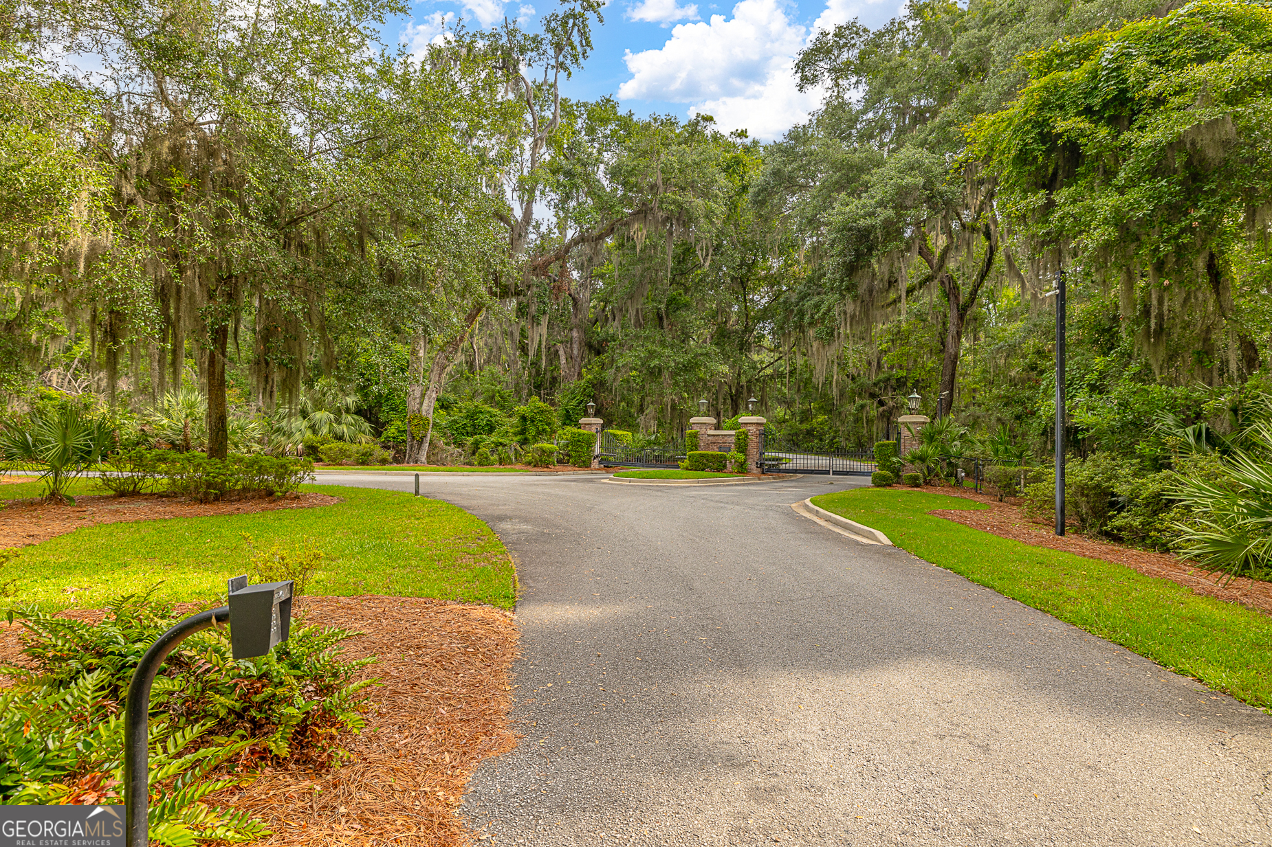 24 Carriage Drive St. Simons Island, GA 31522 - Photo 38 of 67 a view of a park with large trees