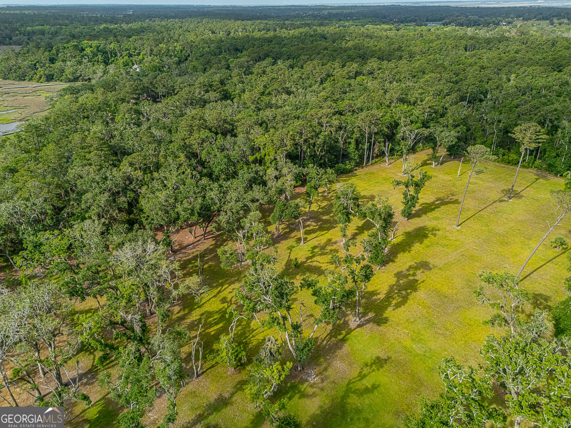 24 Carriage Drive St. Simons Island, GA 31522 - Photo 4 of 67 a view of a yard