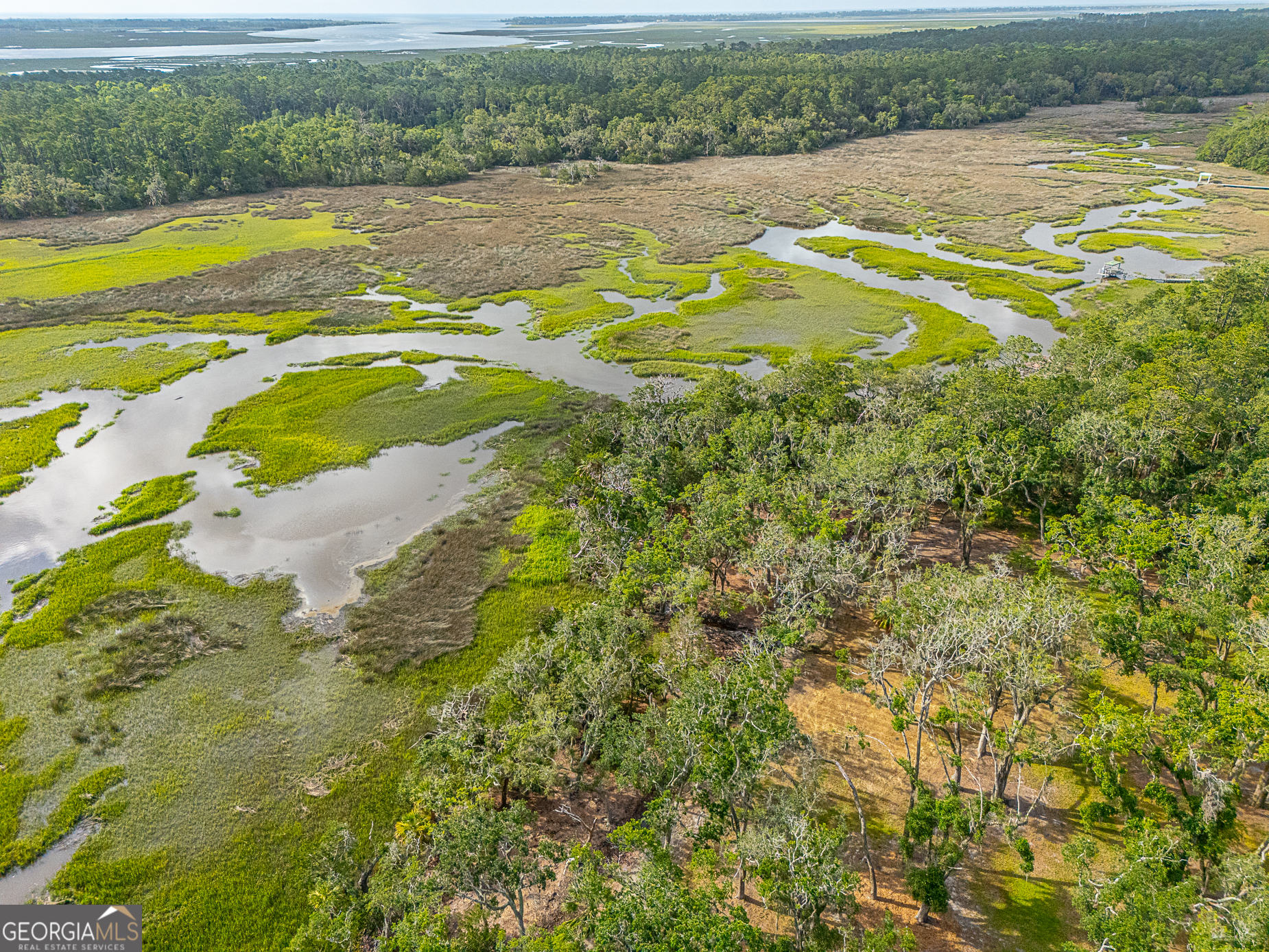 24 Carriage Drive St. Simons Island, GA 31522 - Photo 5 of 67 a view of a lake view