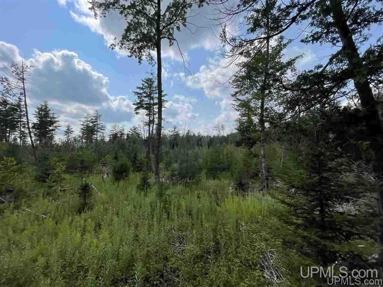 Tbd Sand Road, Unit 2 Powers, MI 49874 - Photo 31 of 38