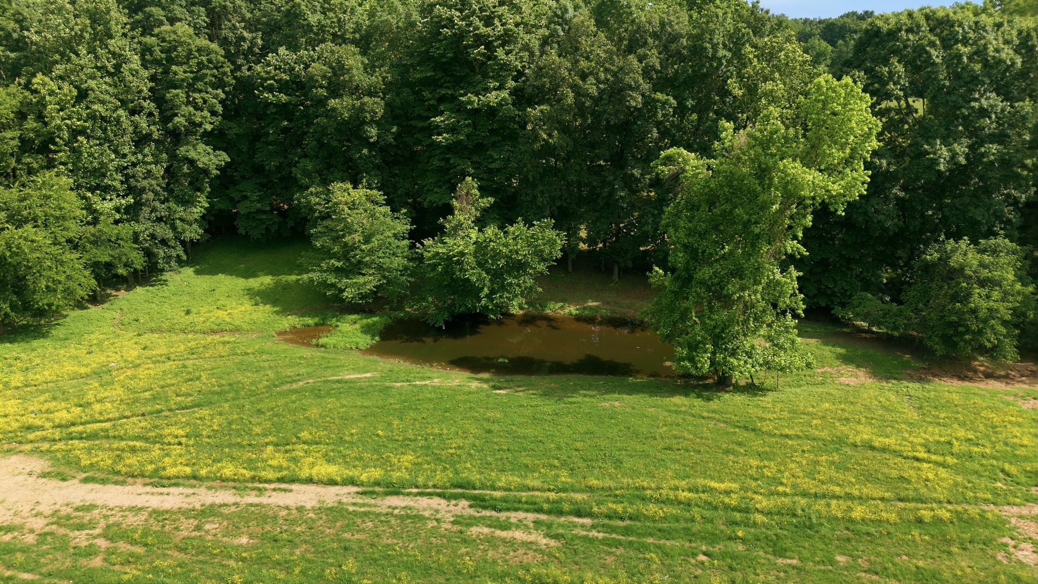 925 Sumac Road Pulaski, TN 38478 - Photo 84 of 84