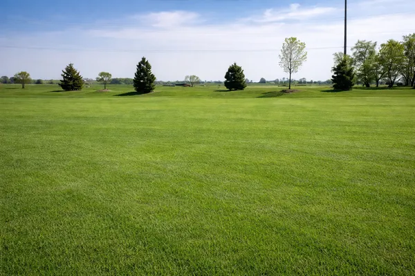 $88,900 | 9420 West Majestic Drive, Monee, IL 60449