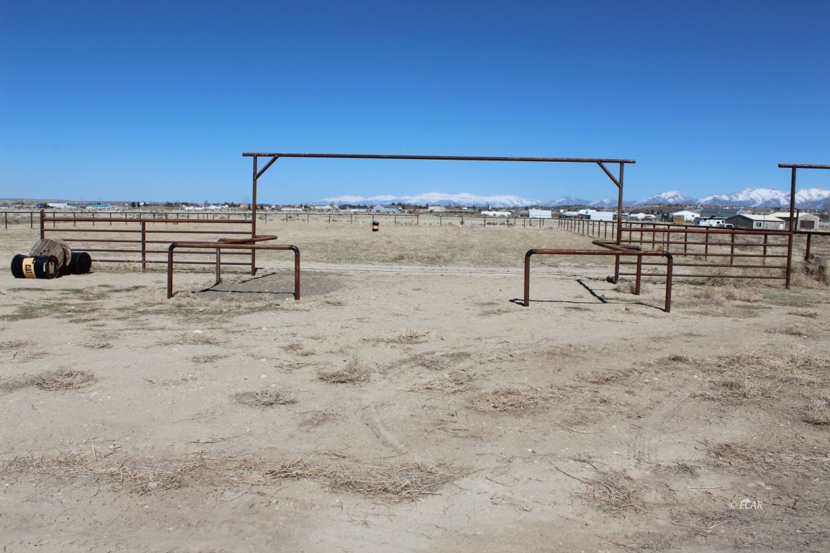 959 Tobiano Road Spring Creek, NV 89815 - Photo 10 of 44 Gallery Image 10