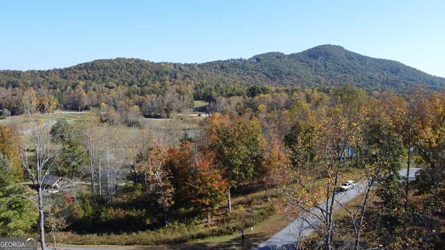 a view of a mountain in the distance