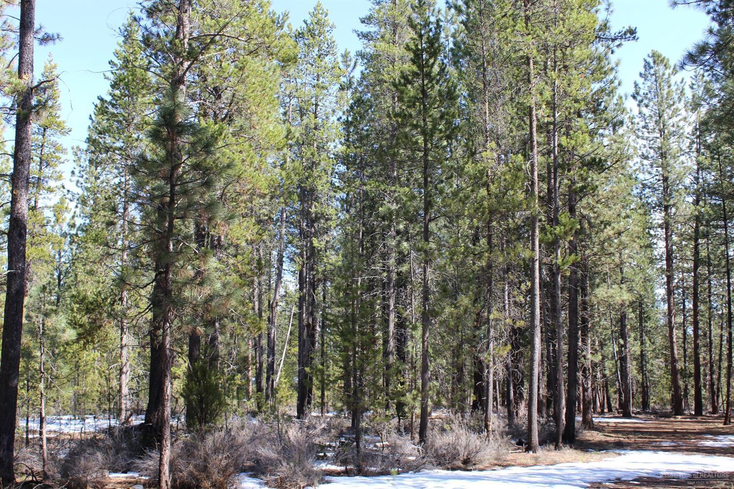 1900 Rohlfing Circle La Pine, OR 97739 - Photo 9 of 14 Additional Photo