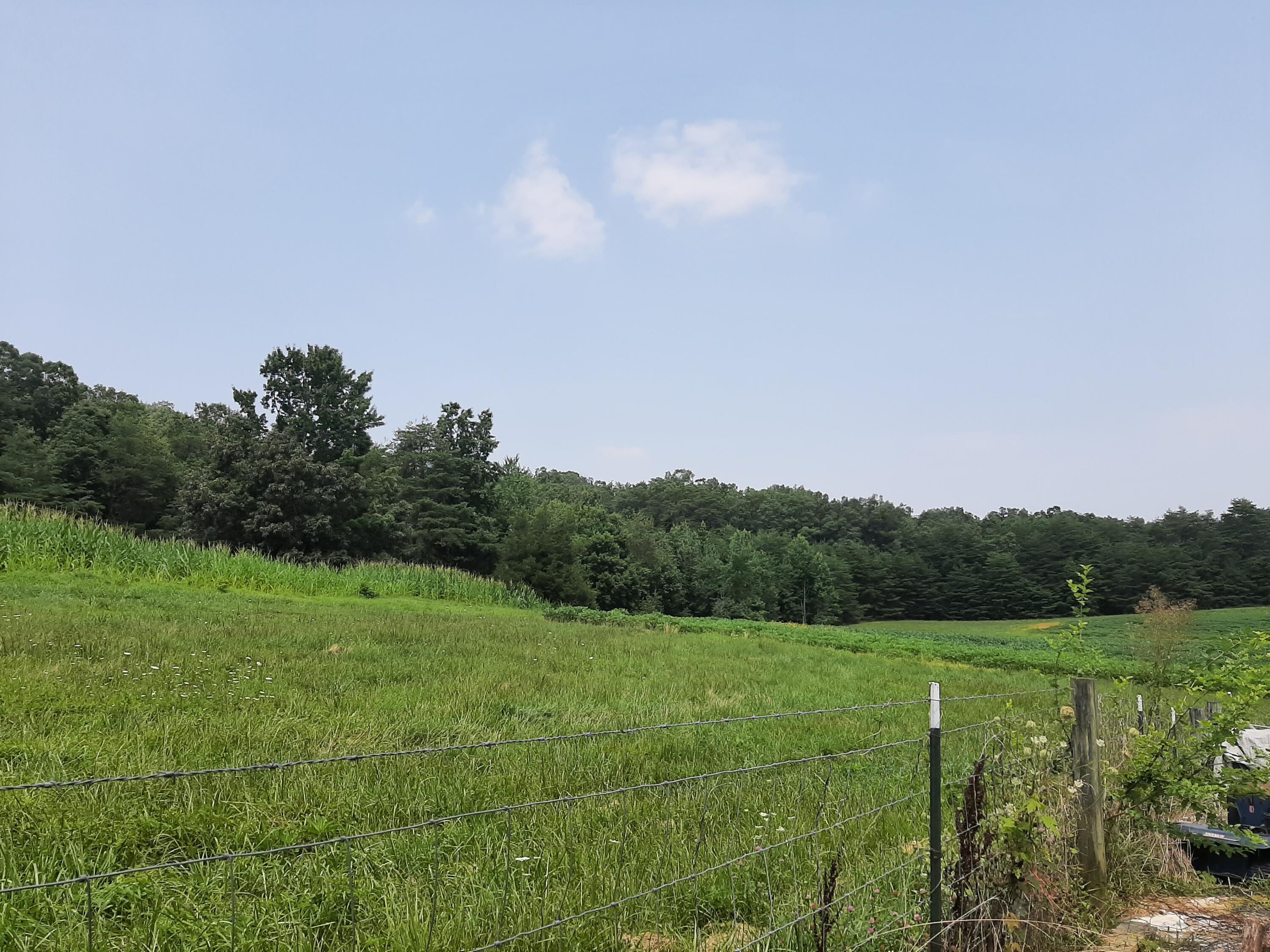 2845 Bowens Loop Road Stanford, KY 40484 - Photo 53 of 65 20210722_142017