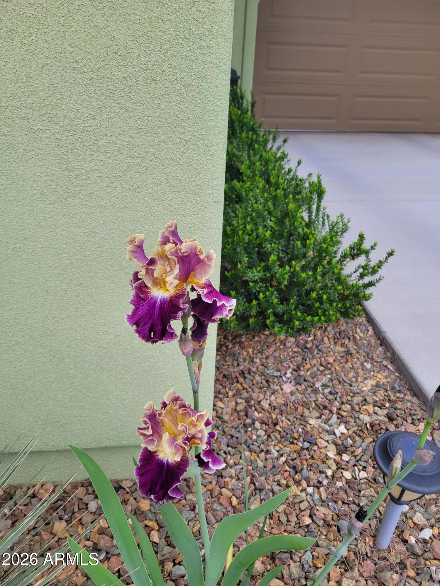 100 Rain Trail Road Sedona, AZ 86351 - Photo 47 of 50 Iris