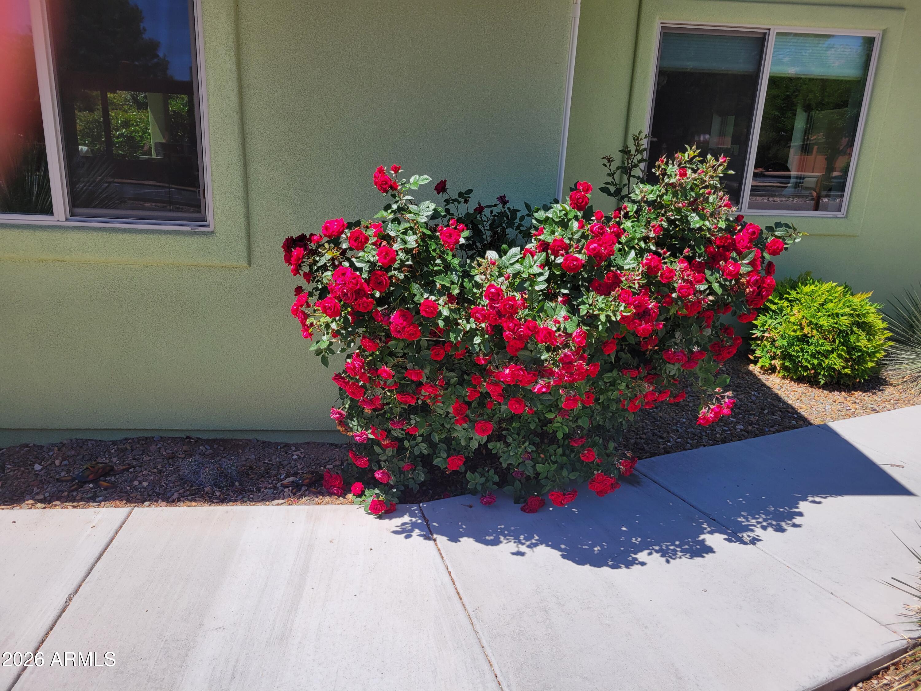 100 Rain Trail Road Sedona, AZ 86351 - Photo 48 of 50 roses