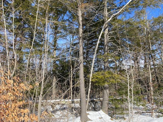 340 Norridgewock Road Fairfield, ME 04937 - Photo 3 of 6 IMG_2693