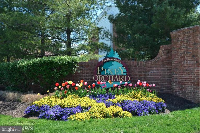 693 Winding Stream Way, Unit 201 Odenton, MD 21113 - Photo 22 of 28 a view of a flower in a garden