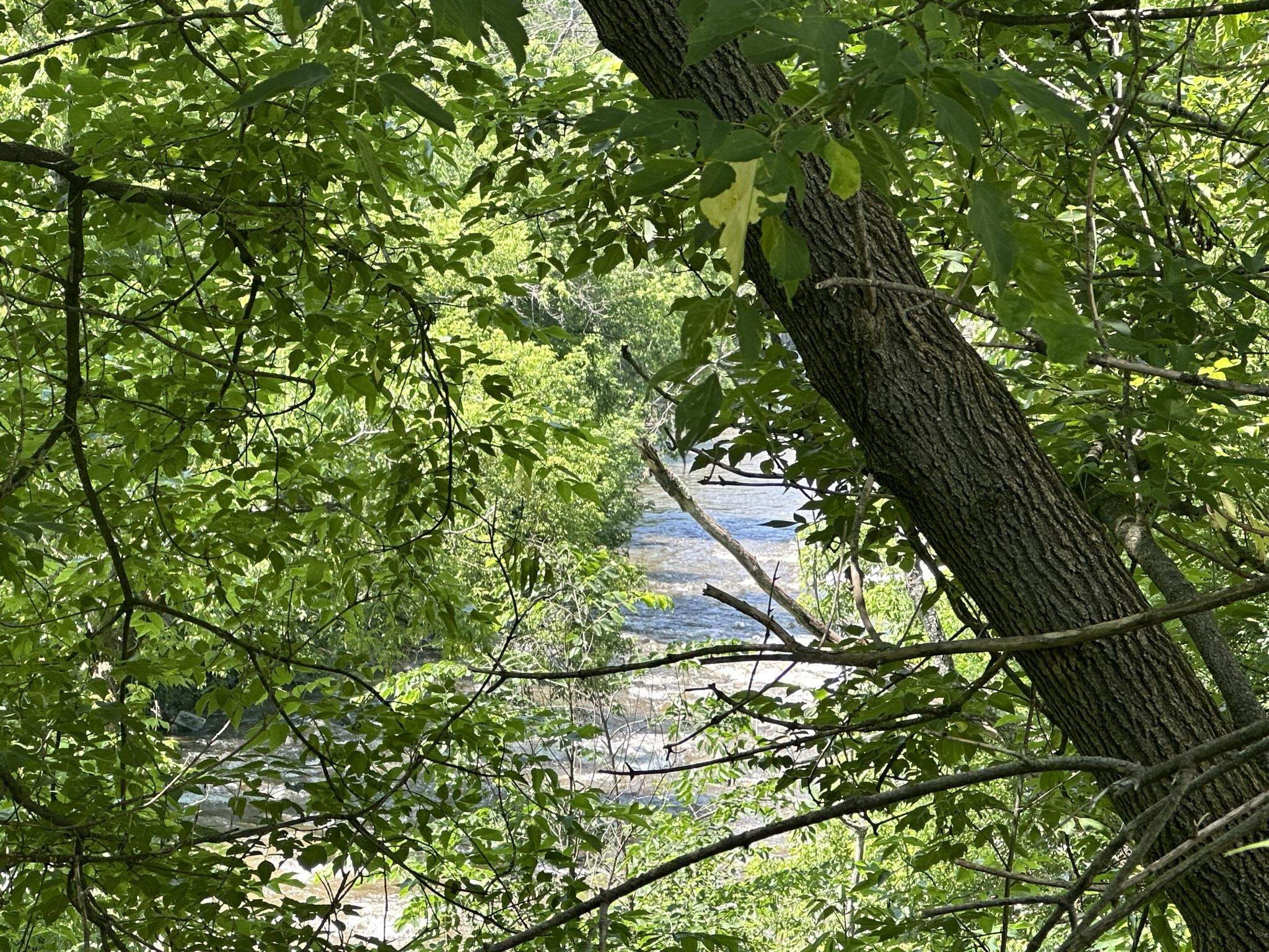 118 Church Street Hardwick, VT 05843 - Photo 23 of 36