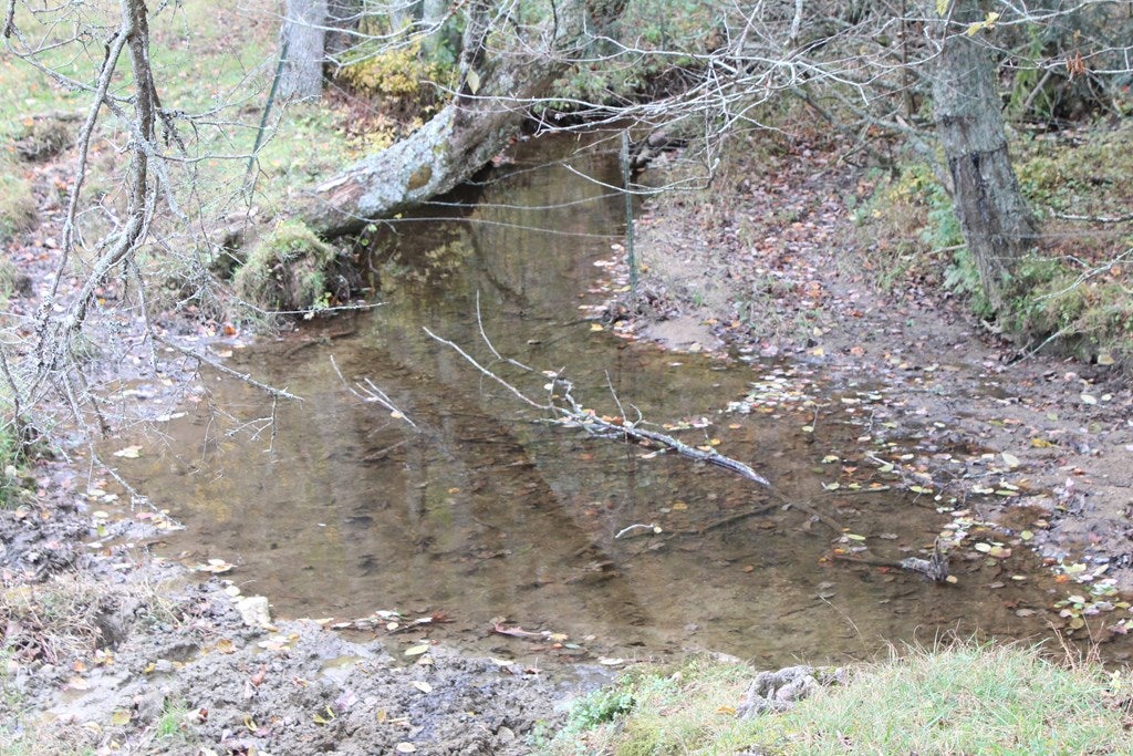 Tbd Terry's Mill Road, Unit 121A61 Laurel Fork, VA 24352 - Photo 11 of 71 Gallery Image 11