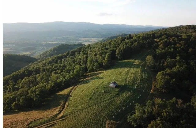 a view of residential houses with outdoor space