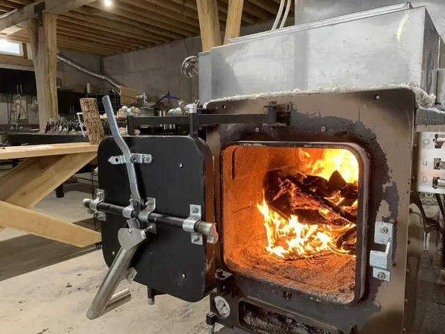 a room with furniture and a potted plant