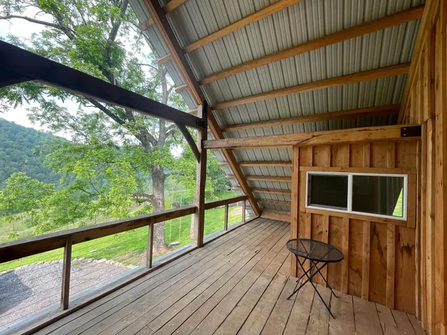 a view of a yard with a tree