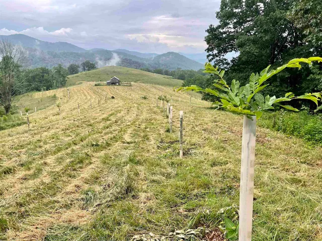 a view of a deck and yard with green space