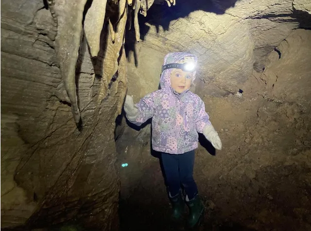 an aerial view of a residential houses with outdoor space