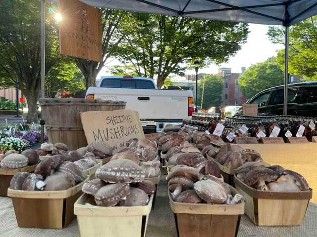 $1,070,000 | 9943 Highland Turnpike, McDowell, VA 24458