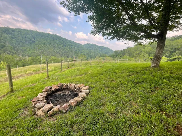 a view of a golf course with a tree