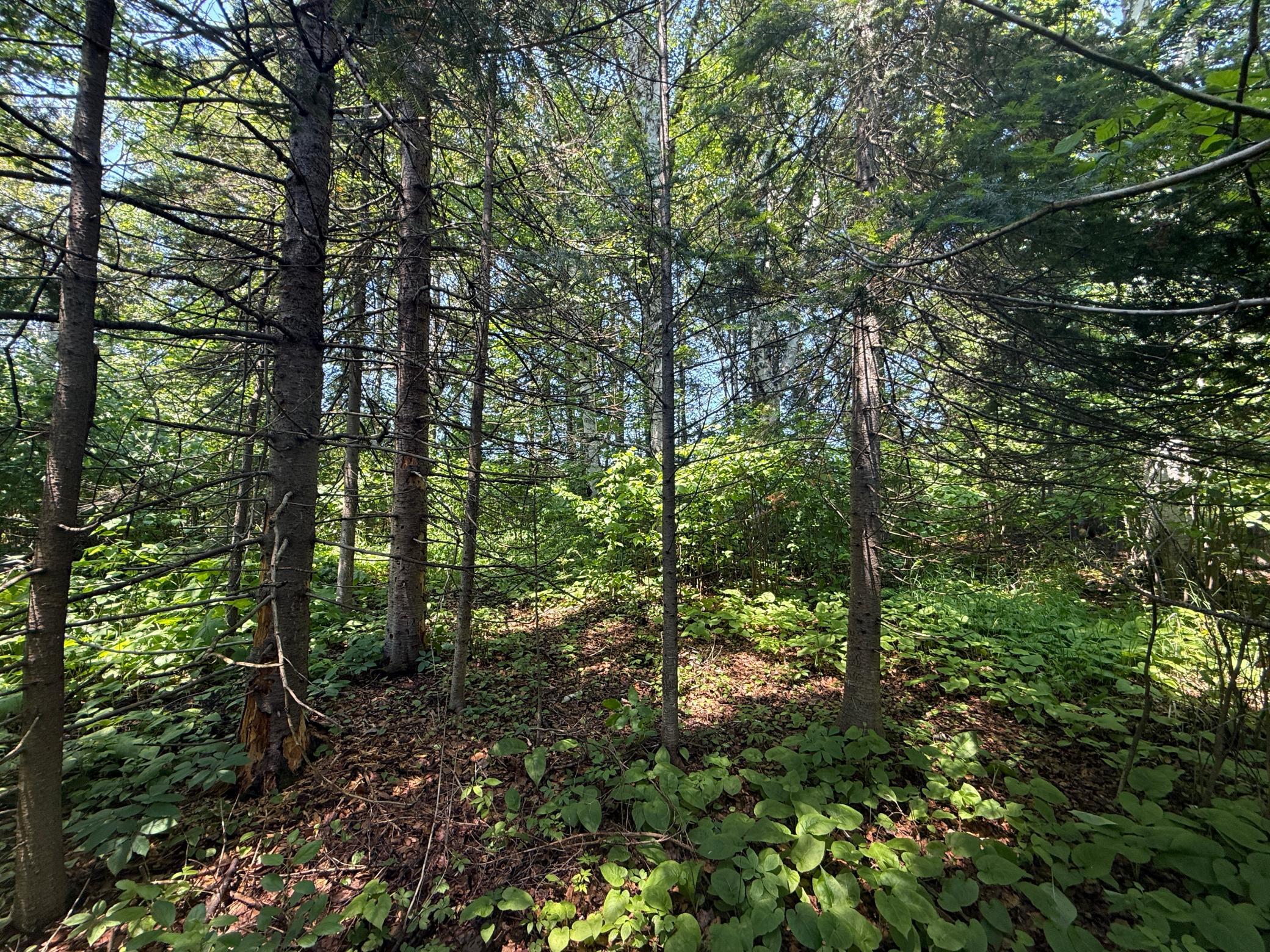 Two Scenic Drive Two Harbors, MN 55616 - Photo 9 of 26