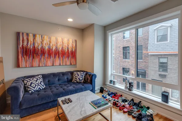 a living room with furniture and a potted plant