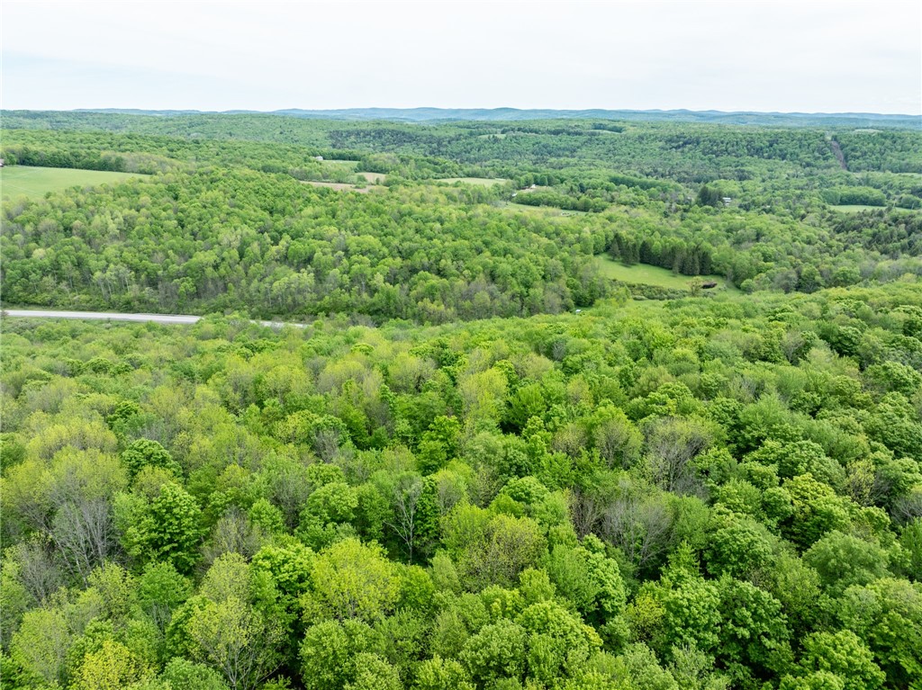 24 County Road New Berlin, NY 13411 - Photo 15 of 19