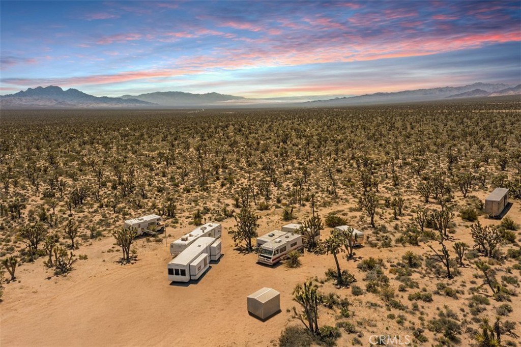 98202 Old Cima Ranch Road Nipton, CA 92364 - Photo 2 of 42