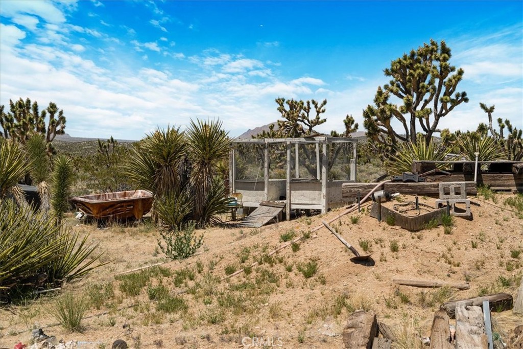 98202 Old Cima Ranch Road Nipton, CA 92364 - Photo 30 of 42 a view of swimming pool with lawn chairs and plants