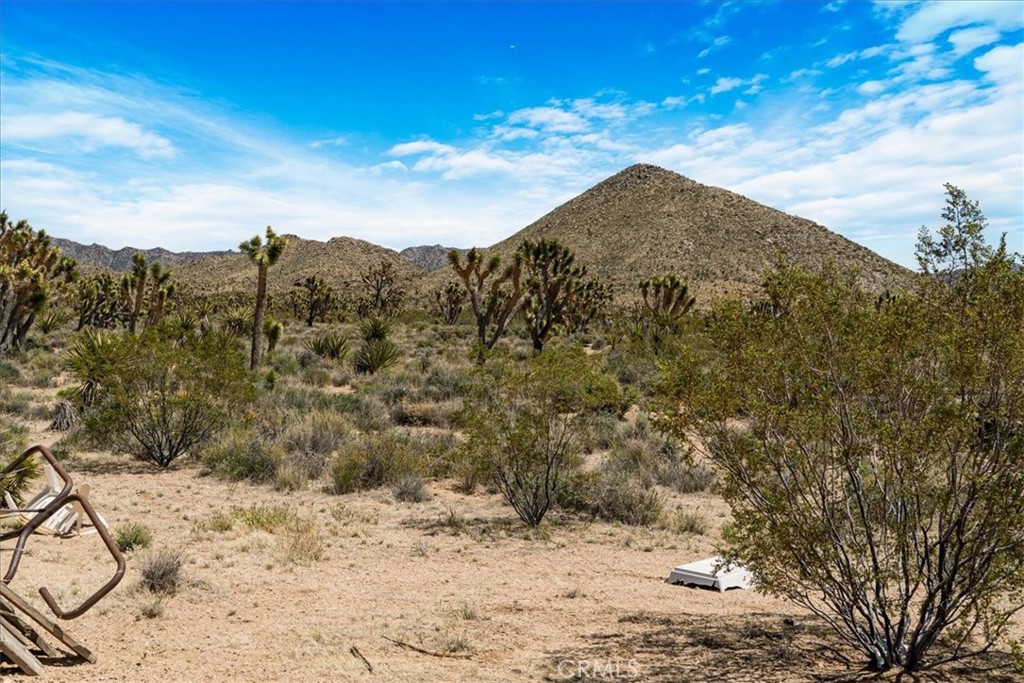 98202 Old Cima Ranch Road Nipton, CA 92364 - Photo 32 of 42 a view of a dry yard covered with snow