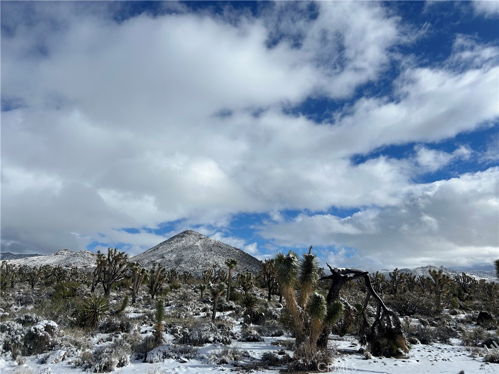 98202 Old Cima Ranch Road Nipton, CA 92364 - Photo 38 of 42 a view of a building