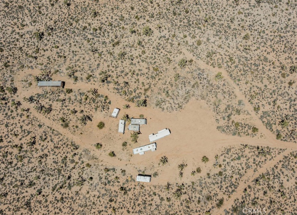 98202 Old Cima Ranch Road Nipton, CA 92364 - Photo 4 of 42