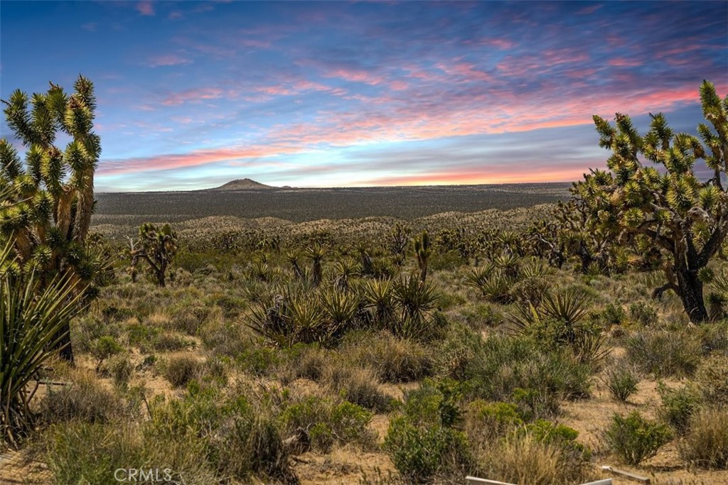 98202 Old Cima Ranch Road Nipton, CA 92364 - Photo 5 of 42 a view of a city with lush green forest