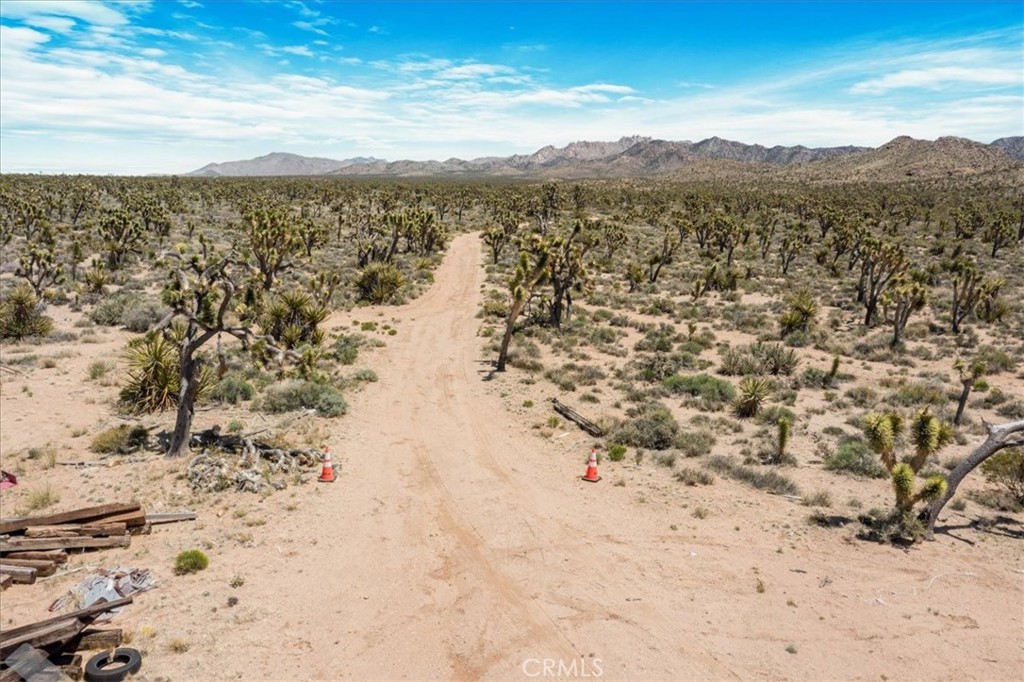 98202 Old Cima Ranch Road Nipton, CA 92364 - Photo 7 of 42 a view of lake view and mountain view