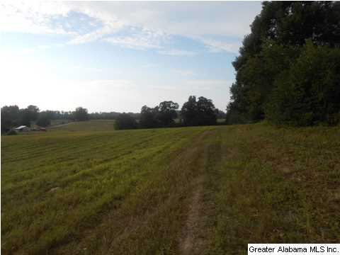 1400 Wilson Chapel Road, Unit 28 ACRES Oneonta, AL 35121 - Photo 9 of 19