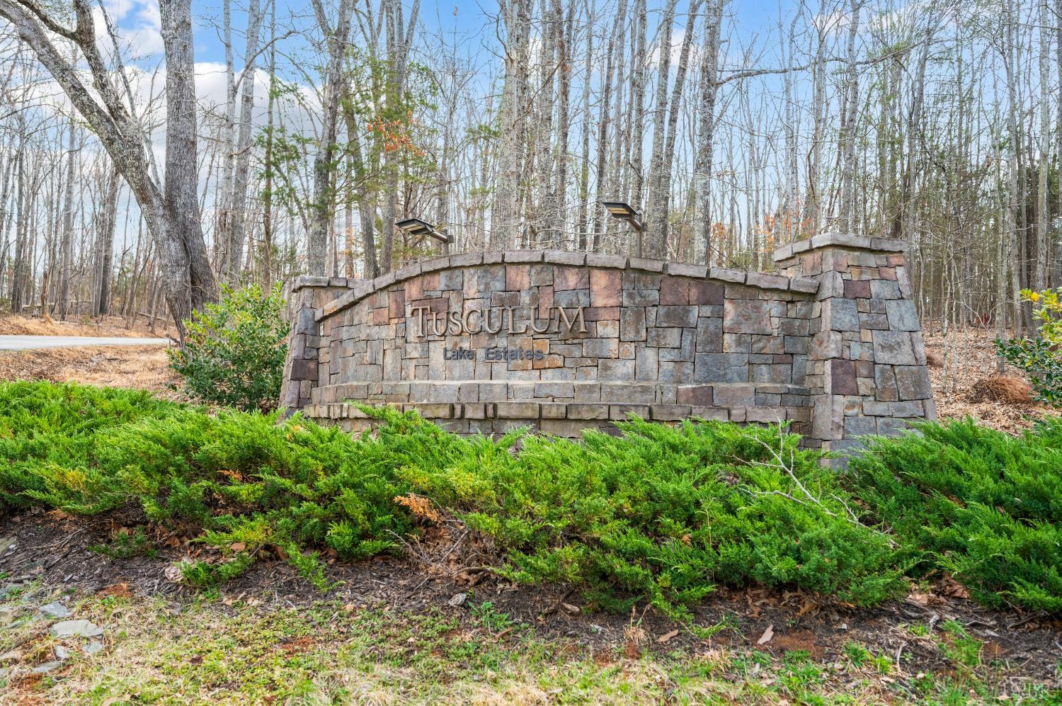 378 Tusculum Lane East Amherst, VA 24521 - Photo 14 of 99