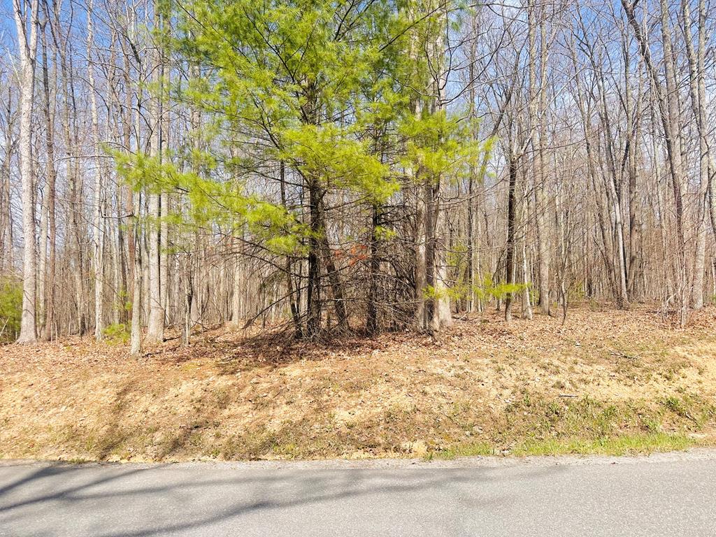 118 Rothfield Circle, Unit 69 Daniels, WV 25832 - Photo 3 of 5 Gallery Image 3