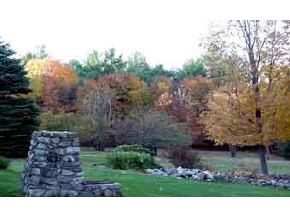 294 Wentworth Road Brookfield, NH 03872 - Photo 3 of 5 Gallery Image 3
