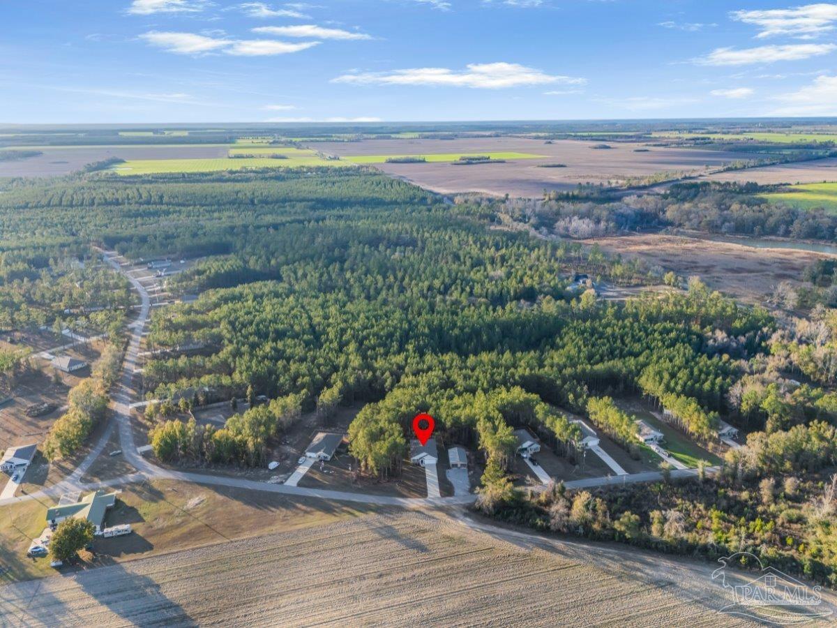 1981 Rube Smith Road Jay, FL 32565 - Photo 8 of 42