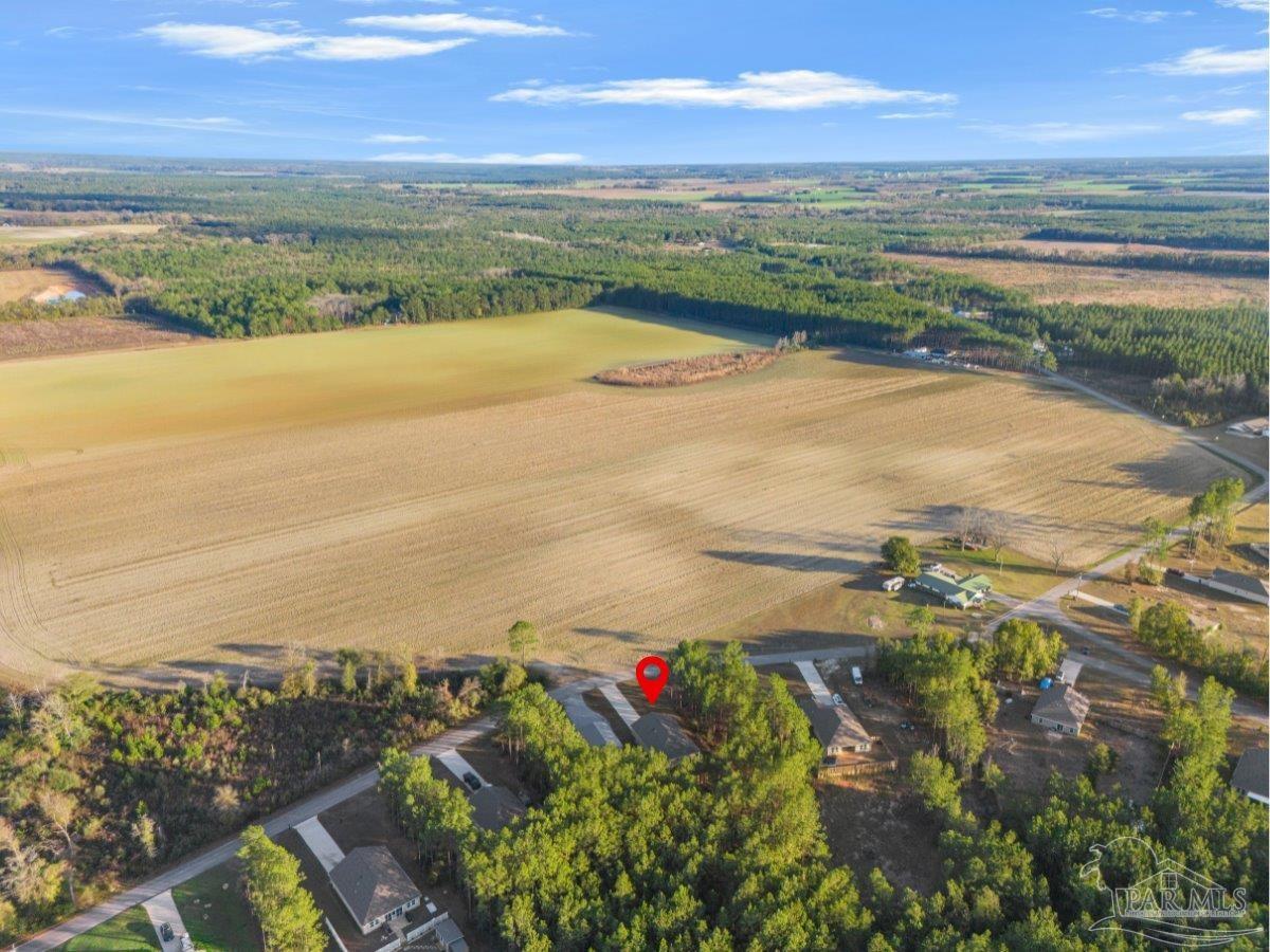 1981 Rube Smith Road Jay, FL 32565 - Photo 10 of 42