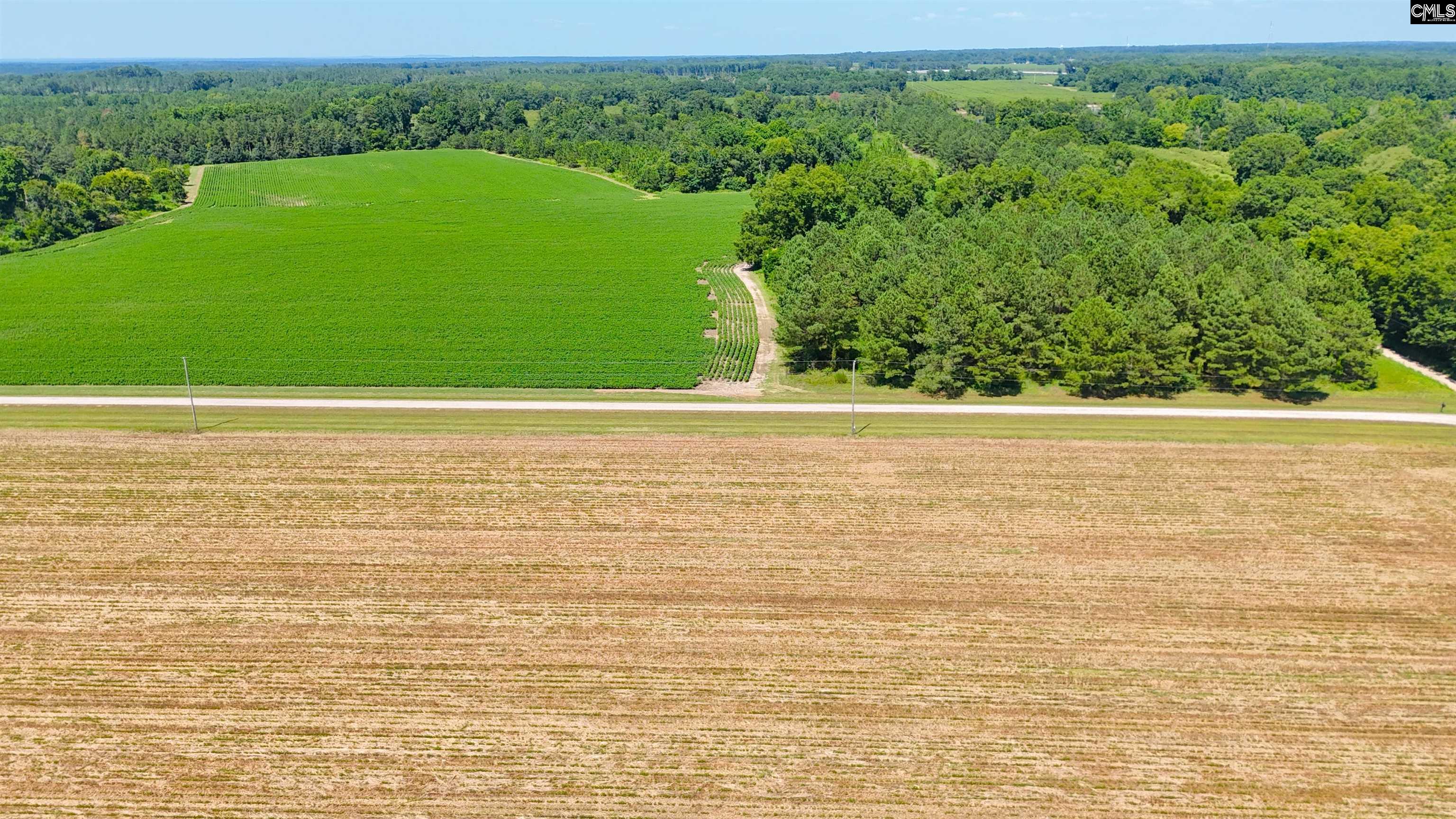 0 Joes Trail Road Monetta, SC 29105 - Photo 7 of 11