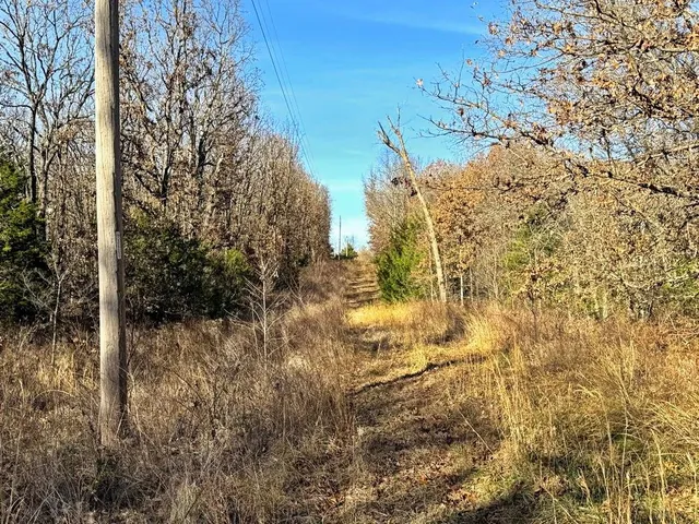 $450,000 | 1550 East & S 425 Road, Jerico Springs, MO 64756