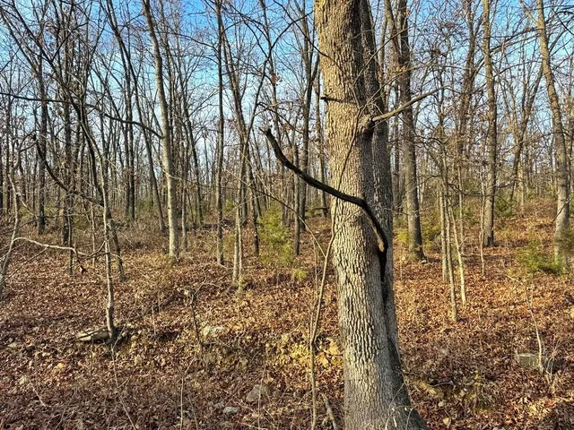 $450,000 | 1550 East & S 425 Road, Jerico Springs, MO 64756