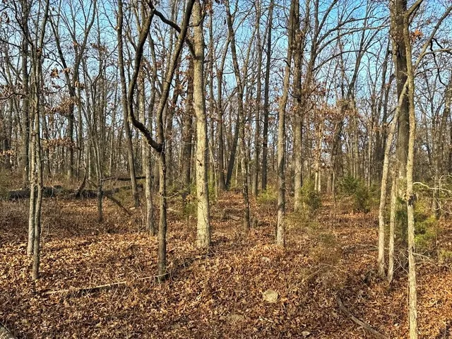 $450,000 | 1550 East & S 425 Road, Jerico Springs, MO 64756