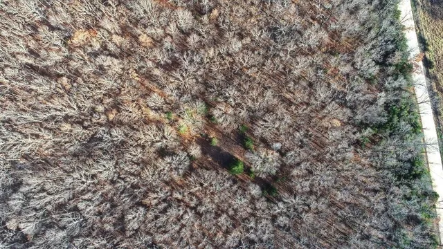 $450,000 | 1550 East & S 425 Road, Jerico Springs, MO 64756