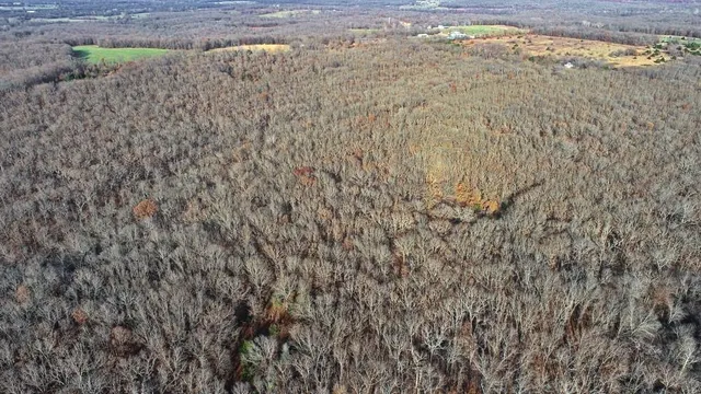 $450,000 | 1550 East & S 425 Road, Jerico Springs, MO 64756