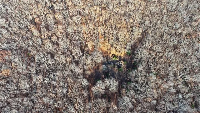 $450,000 | 1550 East & S 425 Road, Jerico Springs, MO 64756