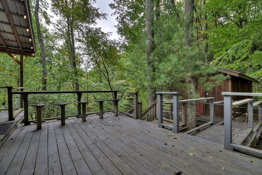 163 Chestnut Ridge Circle Blue Ridge, GA 30513 - Photo 29 of 36 Gallery Image 29
